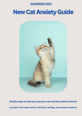New Cat Anxiety Guide